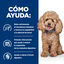 1 kg Hill's Prescription Diet Gastrointestinal Biome Mini pienso para perros, , large indicador imagen numero 6